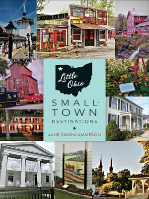 cover image of Little Ohio